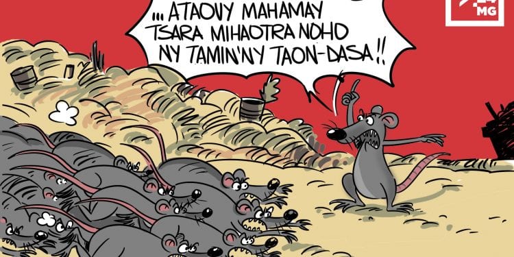 MEGA PESTA
