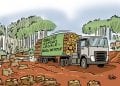 CONSÉQUENCES PROBABLES SUR LA LÉGALISATION DES STOCKS DE BOIS DE ROSE