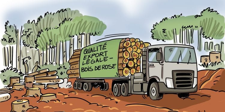 CONSÉQUENCES PROBABLES SUR LA LÉGALISATION DES STOCKS DE BOIS DE ROSE