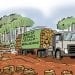 CONSÉQUENCES PROBABLES SUR LA LÉGALISATION DES STOCKS DE BOIS DE ROSE