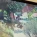 VIDÉO SURVEILLANCE KIDNAPPING SABIR MOLOU