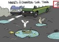ROUTES À TANA : MARES À CANARDS