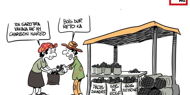 CHARBON BOIS PRÉCIEUX