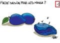 LÉGISLATIVES : MAIS OÙ SONT LES MANGA ?