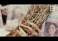 FITSABOANA NENTI-PAHARAZANA