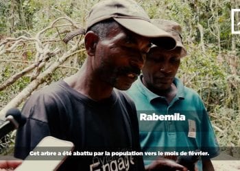 PROTECTION DES RESSOURCES FORESTIÈRES