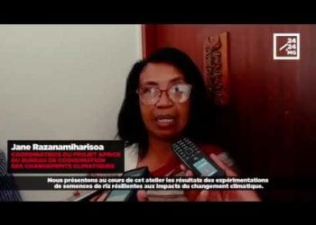 MODÈLE INTÉGRÉ DE RIZICULTURE RÉSILIENTE