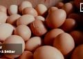 INDICE DES PPN DU MOIS D&rsquo;AVRIL