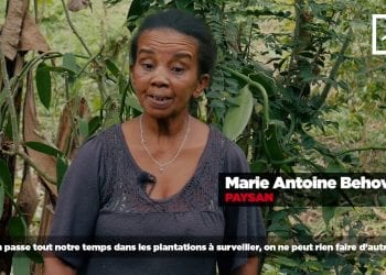 ENQUÊTE SUR LA VANILLE DANS LE NORD DE MADAGASCAR