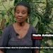ENQUÊTE SUR LA VANILLE DANS LE NORD DE MADAGASCAR