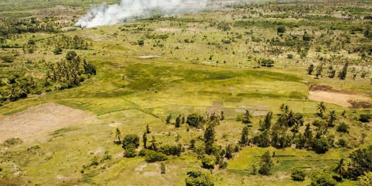 ENVIRONNEMENT – Pression migratoire sur des aires protégées