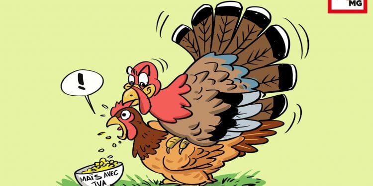 ? TVA, LA POULE EST LE DINDON DE LA FARCE