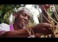 ARTISANAT ISSU DES MANGROVES