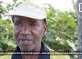 LA QUALITÉ DE LA VANILLE DE SAVA