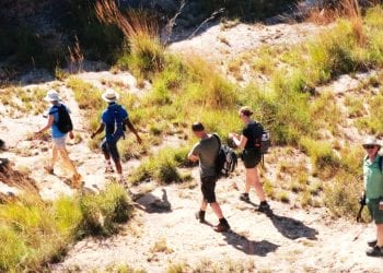 TOURISME – Hausse des visites dans les parcs nationaux