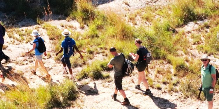 TOURISME – Hausse des visites dans les parcs nationaux