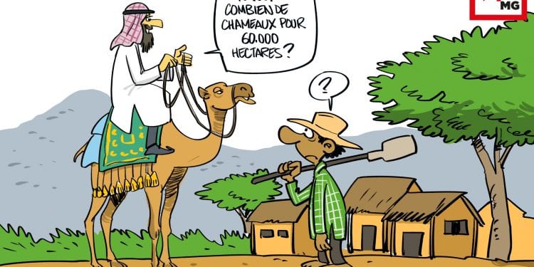 PRINCE DU DÉSERT DE BAS-MANGOKY