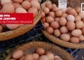 INDICE DES PPN DU MOIS DE JANVIER
