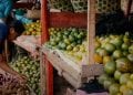 PRODUCTEUR DE FRUITS – LE TRANSPORT EN PÉRIODE DE CONFINEMENT