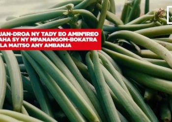 TSENA – 50 000 ariary no hividianan’ireo mpanangom-bokatra ny lavanila maitso
