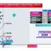 Rapport du CCO Covid-19 au 7 Juillet 2020