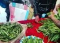 COMMERCE – Le prix de départ de la vanille verte fixé à 40000 ariary à Mahanoro