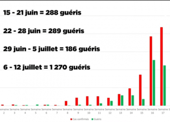 EPIDEMIE – Le nombre de patients guéris du coronavirus en augmentation constante