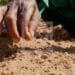 AGRICULTURE – Les jeunes ciblés pour le lancement du projet « Titre vert » dans le Vakinankaratra