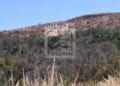 ENVIRONNEMENT- Le parc national d&rsquo;Ankarafantsika épargné par les feux depuis juin selon le ministère de l&rsquo;Environnement et du développement durable