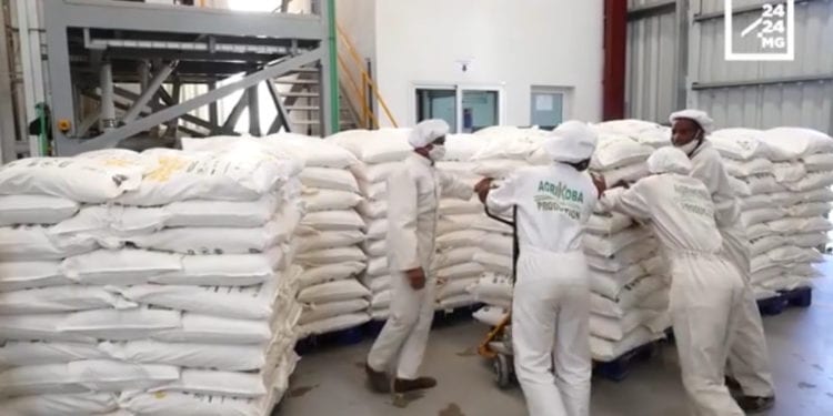 INSECURITE ALIMENTAIRE – De la farine améliorée Fenosoa pour lutter contre la malnutrition