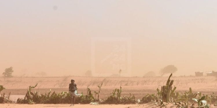 INSECURITE ALIMENTAIRE – « Le Sud de Madagascar au bord d&rsquo;une catastrophe humanitaire », alerte le Programme alimentaire mondial
