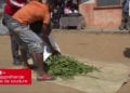 VANILLE – La Sava appréhende la période de soudure