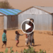 INSECURITE ALIMENTAIRE – Une lutte sans frontière avec l’ONG brésilienne Fraternidad sem fronteiras