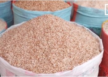 NUTRITION – Riz rouge ou riz blanc, que choisir ?
