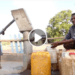 INSECURITE ALIMENTAIRE – Huit milliards d’ariary pour des interventions d’urgence dans le Sud