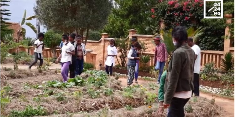 ECOLE DES FEMMES – Eduquer les enfants à travers la formation de leurs mères