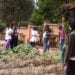 ECOLE DES FEMMES – Eduquer les enfants à travers la formation de leurs mères