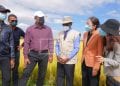 AGRICULTURE – Des semences importées de Chine promettent un rendement rizicole de deux fois plus important sur les sites pilotes d’un projet de coopération Sud-Sud avec la FAO