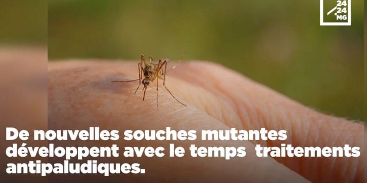 SANTE PUBLIQUE – La lutte acharnée de Madagascar contre le paludisme