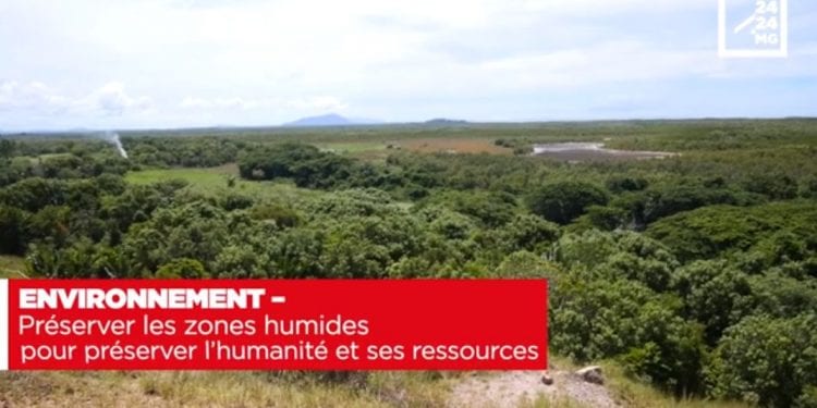 ENVIRONNEMENT – Préserver les zones humides pour préserver l’humanité et ses ressources