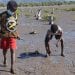 ENVIRONNEMENT – Le concours de photo, « mangrove photography awards », clôturé le 17 Juillet