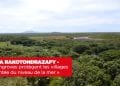 VATOSOA RAKOTONDRAZAFY – « Les mangroves protègent les villages de la montée du niveau de la mer »