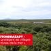 VATOSOA RAKOTONDRAZAFY – « Les mangroves protègent les villages de la montée du niveau de la mer »
