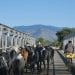 ELEVAGE – 50.000 zébus à doter de boucle électronique infalsifiable dans quatre régions du Sud de Madagascar pour démarrer le programme de réforme du système d&rsquo;identification et de traçabilité des bovidés