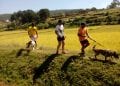 RANDONNEE – La troisième édition de la balade canine prévue ce dimanche à Alakamisy Fenoarivo