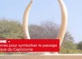 TOURISME – Deux cornes pour symboliser le passage du tropique du Capricorne