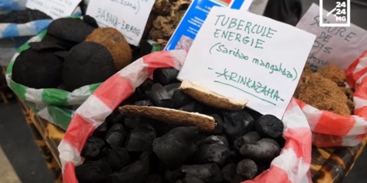 SOLUTIONS – A la découverte de charbon pas de bois