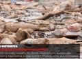 VAOVAO – MINUTE FLASH 02 SEPTAMBRA 2021