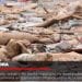 VAOVAO – MINUTE FLASH 02 SEPTAMBRA 2021