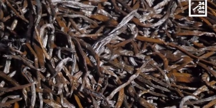 VAOVAO – MINUTE FLASH 17 SEPTAMBRA 2021